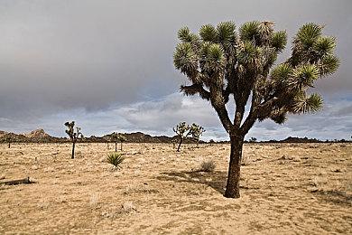 又一款PS4模拟器现身 能运行少量3D游戏